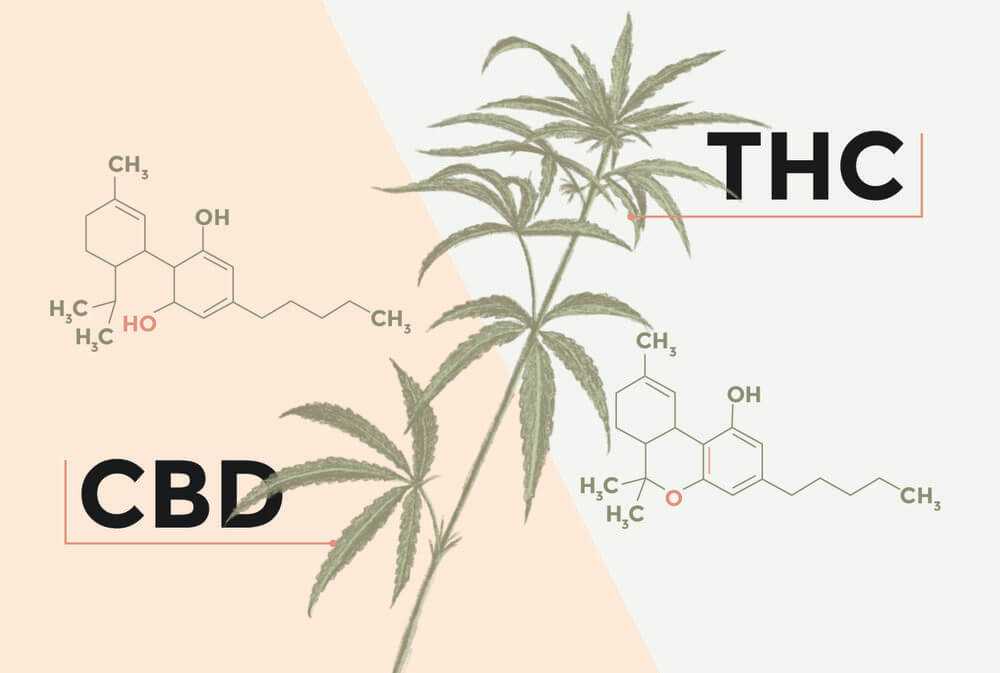 Benefits of THC-JD Products