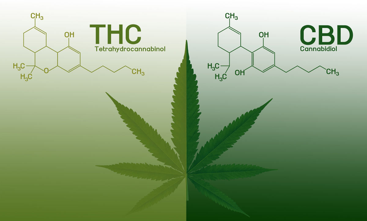 Combining Delta 8, Delta 9, And Delta 10 Thc: Why Mix Cannabinoids?
