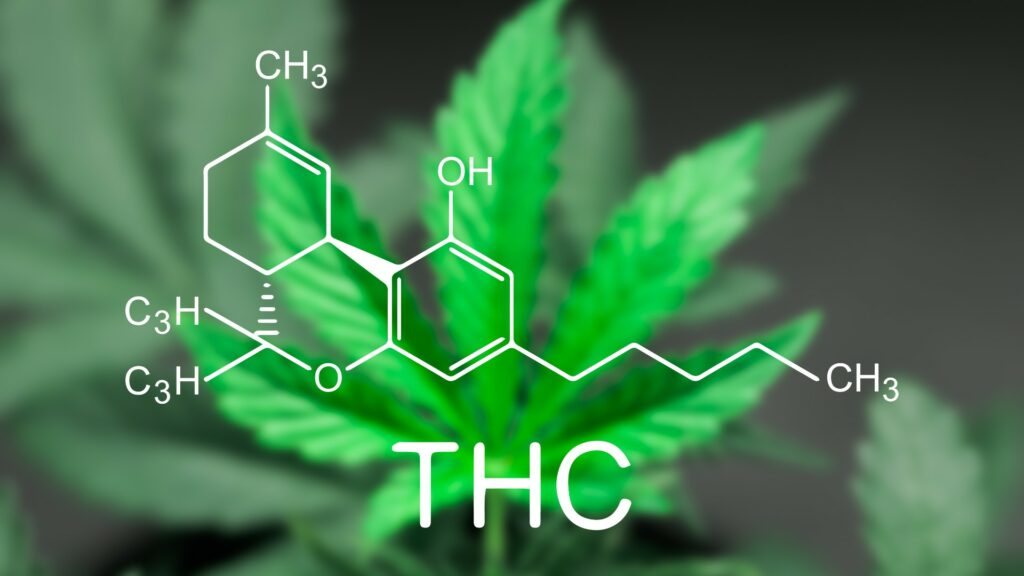 Navigating the Cannabinoid Spectrum Combining Delta-8, Delta-9, and Delta-10 THC